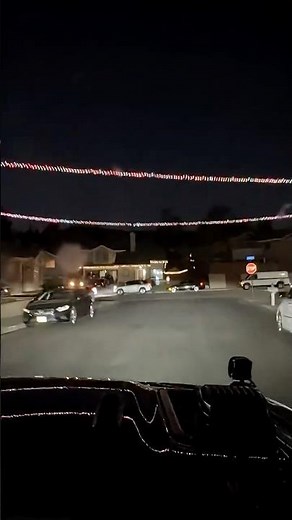 Neighborhood Christmas Lights Connected Across the Street 🎄✨