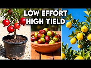 15 Best Fruit Trees For Low Effort & High Yield Gardening