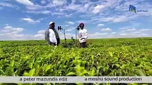 For you my fans Reggae Mash Up Part II with Namadingo | Lucius Chiccio Banda