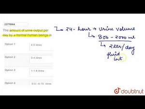 The amount of urine output per day by a normal human beings is