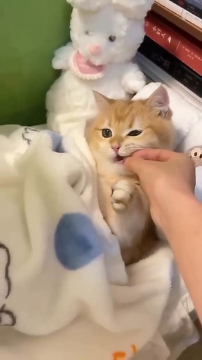 Luda Raduga on Reels