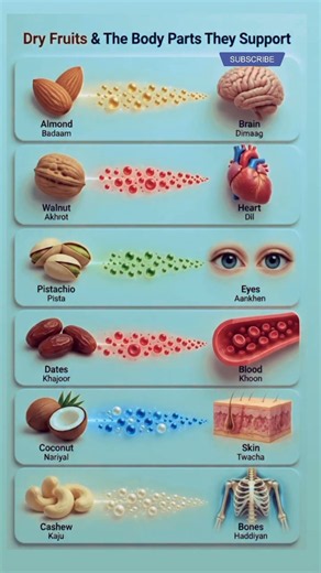 6 Dry Fruits & the Body Parts They Support | Best Dry Fruits for Health #reel #dryfruits #health