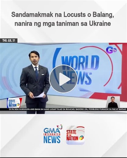 Locusts: The Destructive Swarm Revealed! - NewsBreak