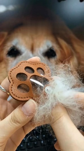 2.6K views · 83 reactions | Et strejf af blødt læder. En silhuet, der...