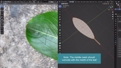 How to make periwinkle flower branch in Blender #oe273