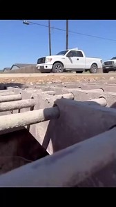 Alagarto956 - Weslaco, TX | RGV Construction