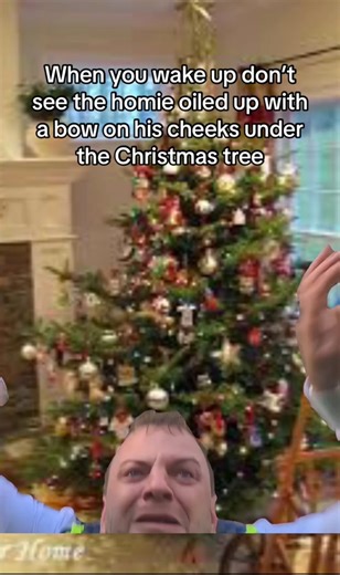 #fyp #christmas | nooo dude screaming