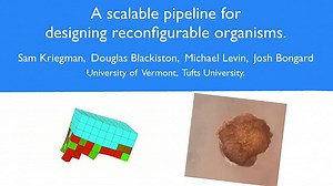 How the first 'living robots' are being built from frog embryos