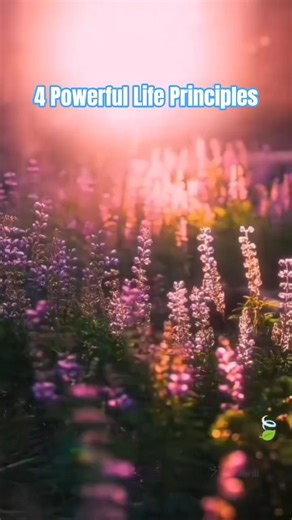 4 Powerful Life Principles
