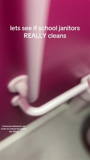 Does the School Janitor Really Clean?