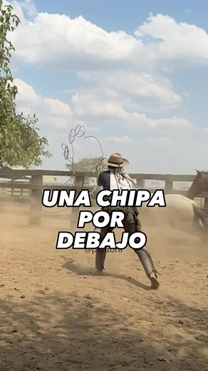 Un estilo de enlazar casi perdido, pero que aun lo comservamos unos pocos en el llano, ENLAZAR POR DEBAJO.