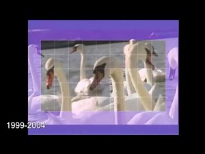 History of TG4 on air identity