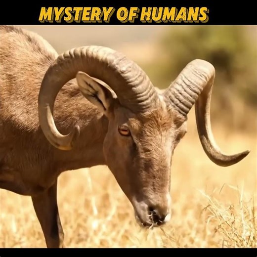 Why Early Humans Were More Terrifying Than You Think