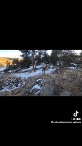 5.1M views · 79K reactions | numai de bine. | Love Quotes | Facebook