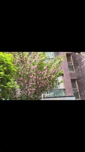 喜欢慢悠悠的日子和真诚的人~
