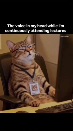 LoLwithVibe | follow up for more relatable content 🙌 . . . . #relatable #memes #funny #love #fun #relatablecontent #trending #trending #viral #happy... | Instagram