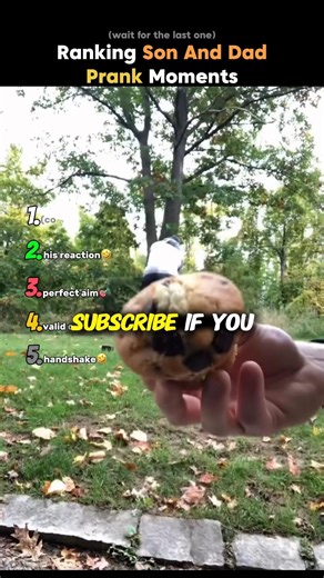 We Took Dad–Son Pranks Too Far 😭😂 (Ranked Worst to Best)