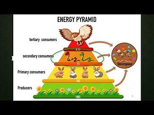 7th Grade Review for 8th Grade Science STAAR