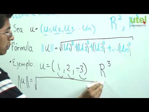 Longitud de un Vector