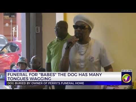 Funeral for "Babes" the Dog has Many Tongues Wagging | TVJ News