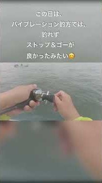 テンヤ太刀魚は、その日で誘い方も違いますね😆 #シマノ #三石忍 #太刀魚釣り