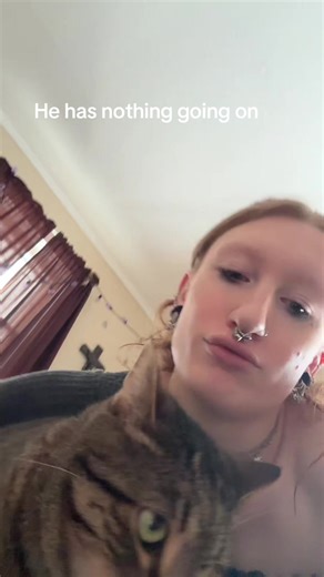 This cat ain’t got no brain | cat