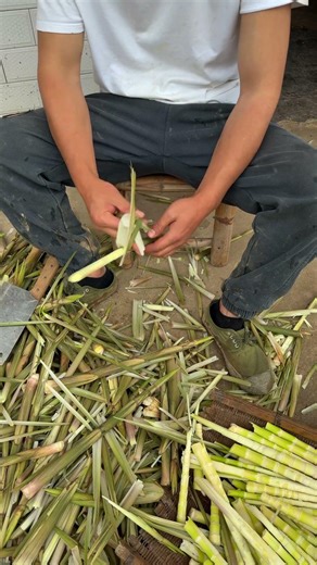 Hand-cutting bamboo shoots: Step-by-step guide to processing fresh bamboo shoots