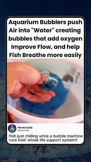 Aquarium Bubbles Keep Fish Alive!!