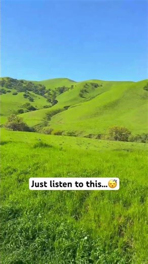 California, Black Diamond Mines, nature,hike