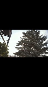 The 2024 Magic Summer Tour is in full swing! Take a look at what’s in store when you come to the party of the summer!! To all the Blockheads who have come out so far, we love you and all the energy and love (and NEON) that you’ve been bringing us each night! Let’s keep it going!! http://NKOTB.com #MagicSummerTour #OnTour | New Kids On The Block