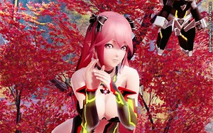 【PSO2】BoHu 独极训练 世坏的境界 6至10层 6分9秒