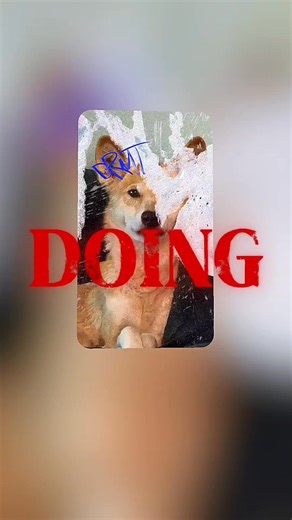 4.7K views · 197 reactions | I run my Dingo page for the general...