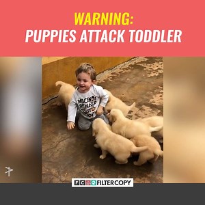 ...with their cuteness! | FilterCopy