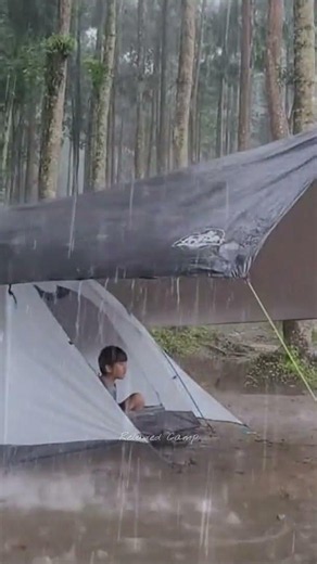 AMAZING HEAVY RAIN‼️ Relaxing camping in rain sounds (ASMR) #campingintherain #shorts