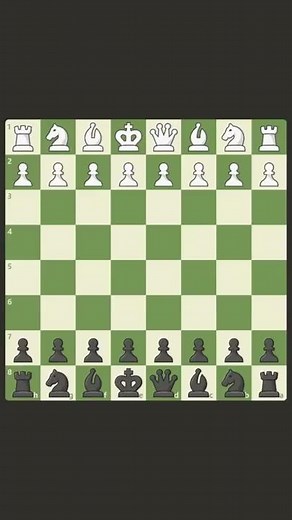 CHECKMATE in 8 Moves
