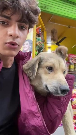 Tutorial: how to ragebait a dog