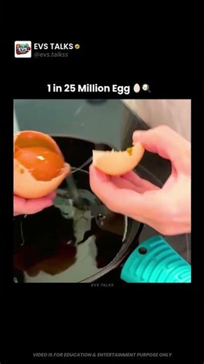The 1-in-25-Million Egg 🤯