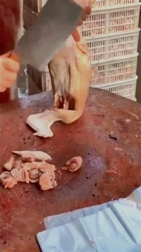 Cutting chicken properly for clean portions and safe handling