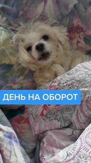 #максимсергеевич Я, думаю. заслуженно)