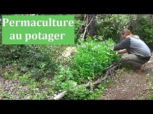 Permaculture and agroecology in the vegetable garden