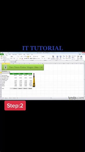 #msexcel touring the interface