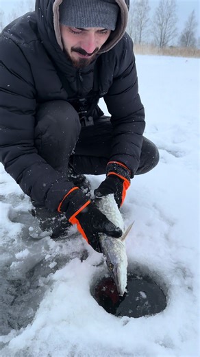 Ice Fishing Adventures in Finland: Tips and Techniques