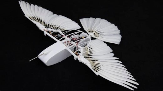 PigeonBot mimics birds for stable rudderless flight in turbulent skies