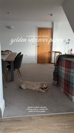 Realistic Morning Routine with My 3 Month Old Puppy