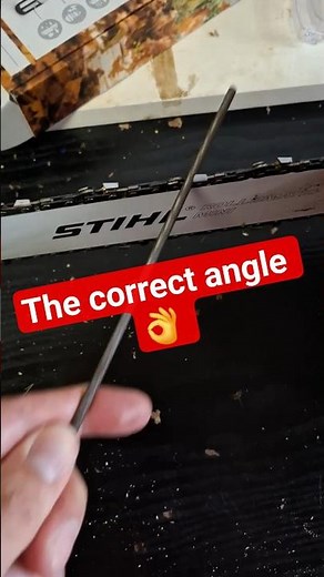 Showing the correct angle to sharpen a chainsaw chain with a round file #michaelstoolbench #chainsaw