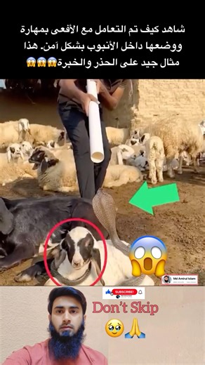 good job🔥🔥🙏🙏