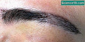 Fizikte Elde Edilen Yer Değiştirme Nasıl Bulunur? 💫 Bilimsel Ve Popüler Multimedya Portalı. 2025