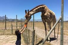 Giraffe House - Cape Town Day Tours - South Africa