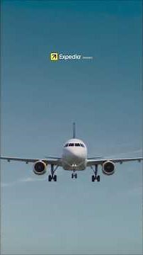TRAVEL LIKE SPEED ⚡️✈️