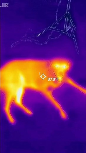 The Science Behind Thermal Imaging: How It Works and Why It Matters